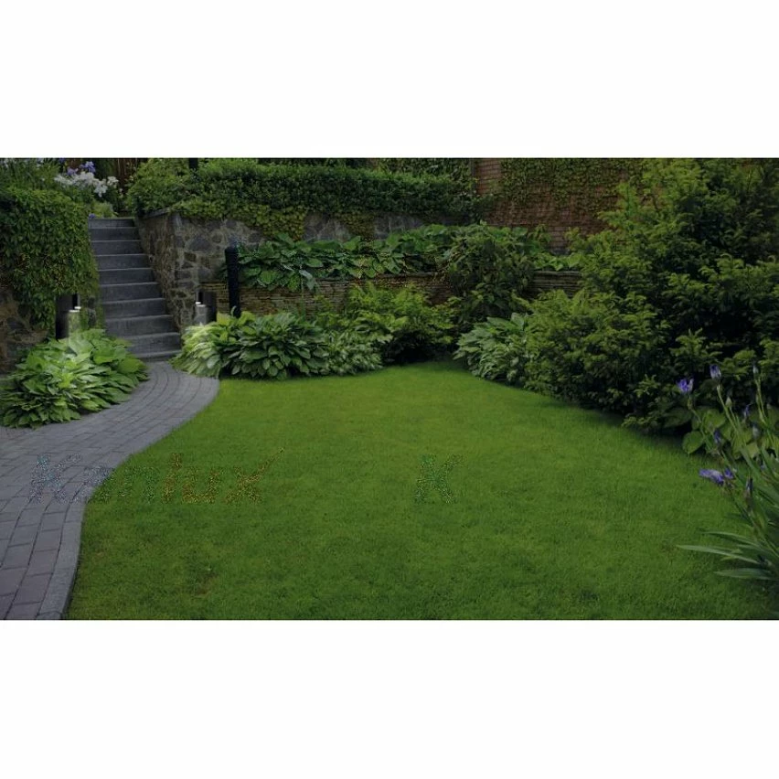 Meilleur prix ✔️ Kanlux Luminaire mural pour 2 ampoules GU10 étanche IP44 Noir 🛒 3 Meilleur prix ✔️ Kanlux Luminaire mural pour 2 ampoules GU10 étanche IP44 Noir 🛒 – Image 3